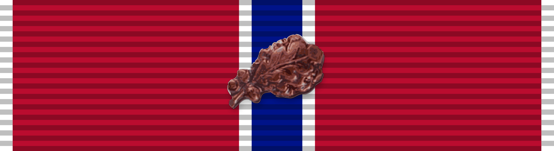 Bronze Star Medal with Oak Leaf Cluster Bronze Star Medal with Oak Leaf Cluster