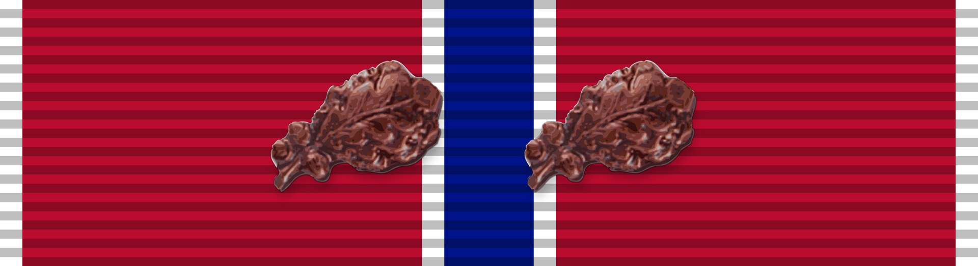 Bronze Star Medal with OLC Bronze Star Medal