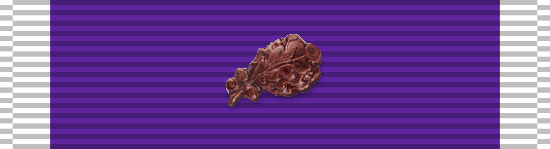 Purple Heart Medal with OLC PHM with OLC